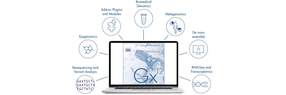 A genomics workbench for everyone