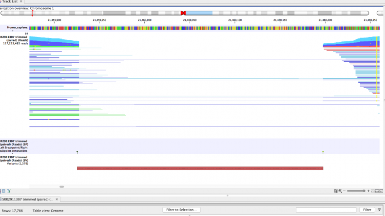 Structural Variant Detection using CLC Genomics Workbench