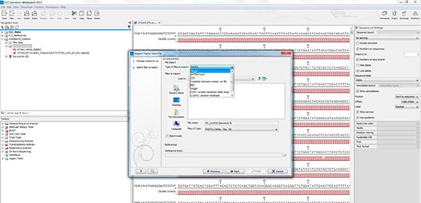 CLC Genomics Workbench: New user intro training