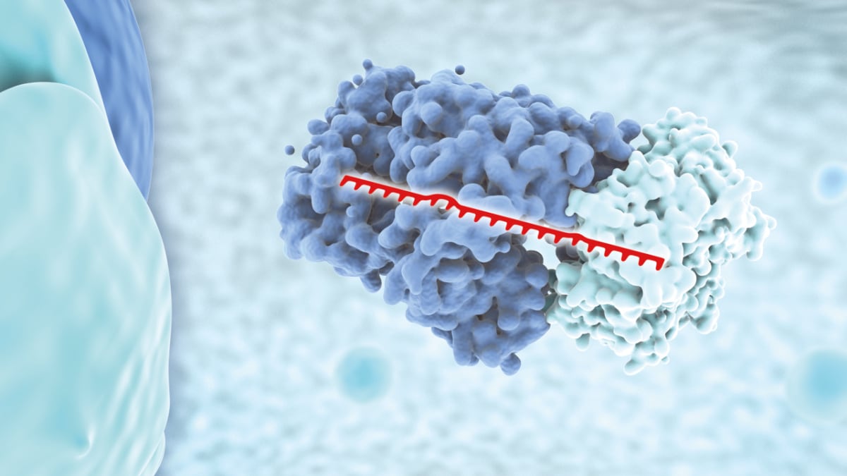 How to accurately quantify miRNAs and increase fraction of annotated reads