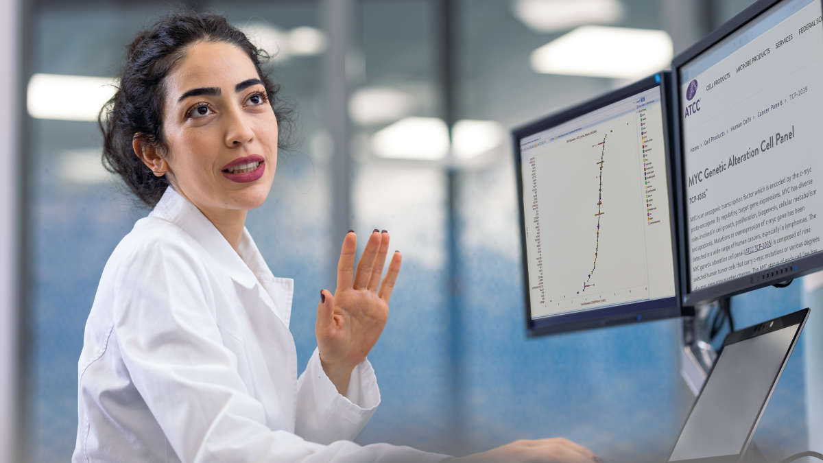 Cell line characterization and selection made easy
