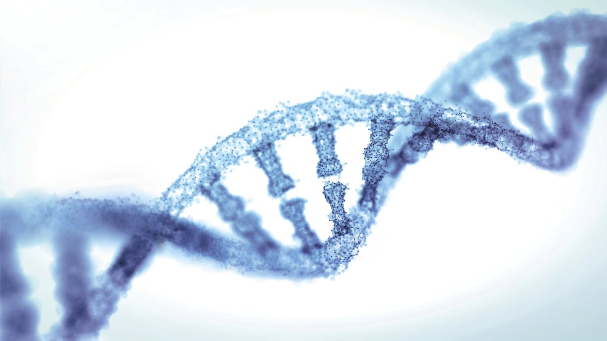 De novo transcriptome assembly using QIAGEN CLC Genomics Workbench